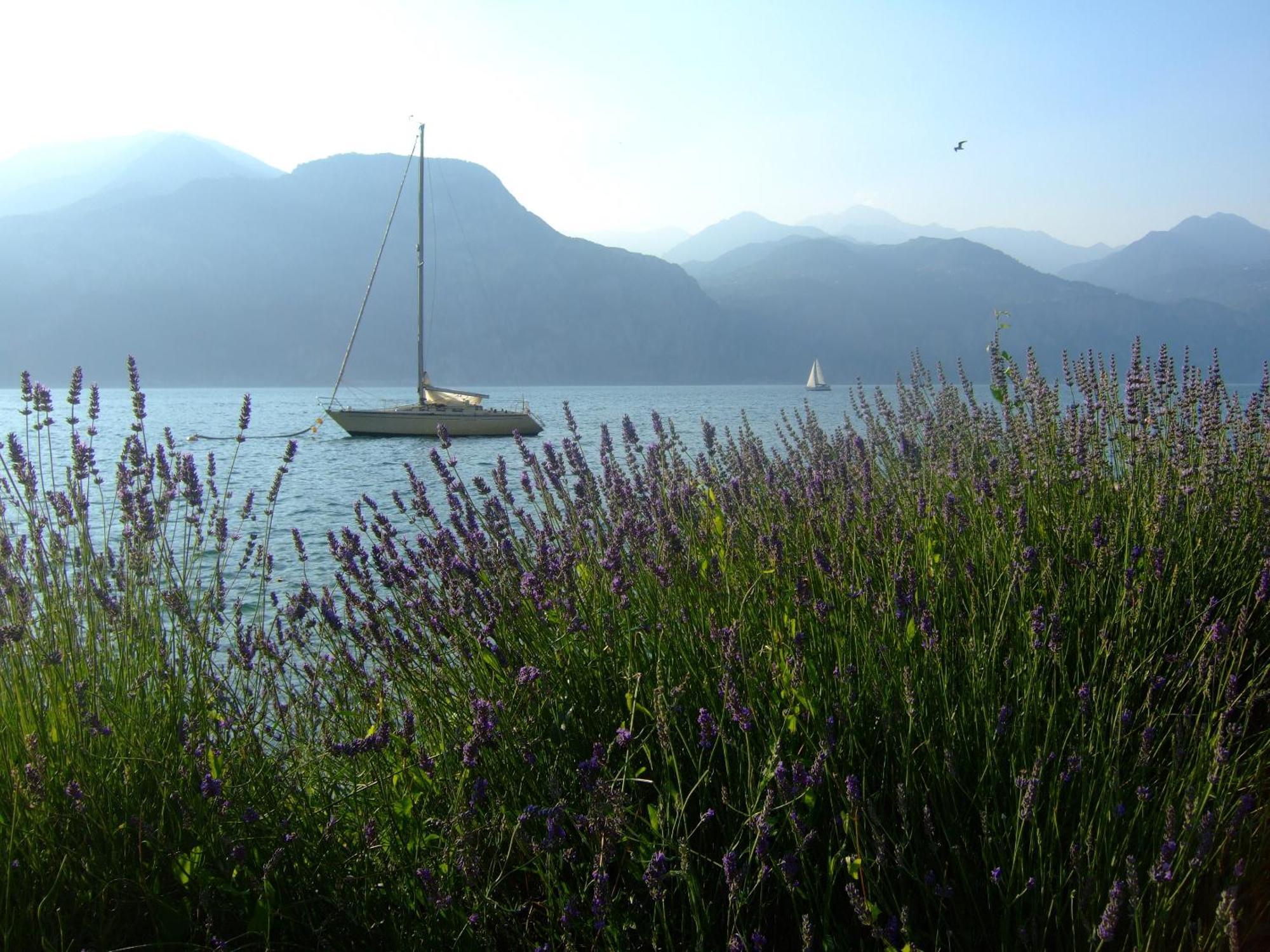 Residence San Vito Brenzone sul Garda Eksteriør bilde